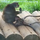 전주동물원 이미지