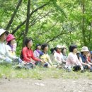 설천면123 네이버블로그