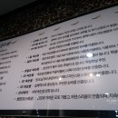 잴리뽀 속눈썹