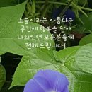 동해청정 티스토리
