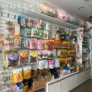 암사동물병원 이미지