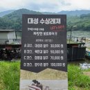 대성리빠지 대성수상레저에서 보트투어 후기(가평여행)