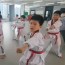 지축 타이거킥스태권도장 이미지