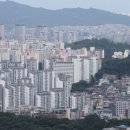 397 이미지