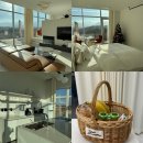 비너스타 | [강원도고성]고성여행 조용한 풀빌라펜션 ‘비너스타’ 내돈내산 후기