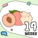 다유미김밥사랑 장대점 | 11월 상반기의 일상 기록