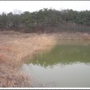 동막동(5) 이미지