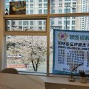 봄빛음악학원 - 북구 매산로 15 | 봄빛음악학원