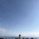 대정1리 | 제주 중문 여행코스 추천 성산스쿠버 보목포구 사계해변 감성 포토스팟 모음(제주여행 2일차 기록)