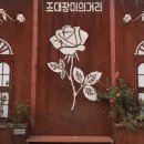 장미의거리13 이미지