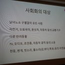 서초M동물의료센터 이미지