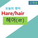 HARE HAIR