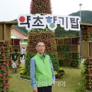 약초와 한방 이미지