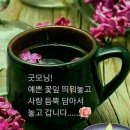 굿모닝 Daum카페