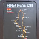 응봉산(울지/삼척) 998.5m 이미지