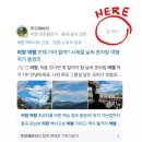 황산공원 마음정원12번 | 상하이 건축 끝판왕! 천안천수 1000Trees 도심 한복판 나무 정원 정체는?