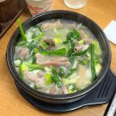 증평군청 | 증평 맛집 : 증평군청맛집 국밥맛집 금화순대 솔직후기
