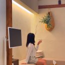 스테이모노