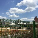 상상정원 어린이집 네이버블로그
