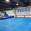 분당-346 이미지