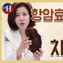 항암식품으로 알려진 러시아 산삼 '차가버섯' 조회수 5.8만회 4년 전 이미지