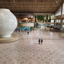 대구공항안내소 이미지