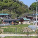 통명리경로당 Daum카페