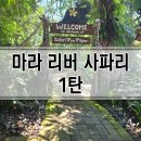 리버스토리 | 발리 마라 리버 사파리 1탄, 가는 방법, 입장권 종류, 가격