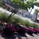 후촌마을 이미지