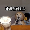 포윅스 네이버블로그