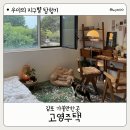 고영 | 김포 가볼만한곳｜고양이 천국 고영주택 방문후기