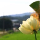 우포농촌체험휴양마을 이미지