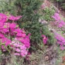 단양읍사무소 이미지