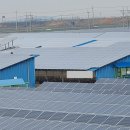 말 모형 이미지