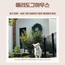 파프리카펜션B(블루동) | 경기 양평 / 애견동반 - 메리도그 하우스 감성 가득 힐링하기 좋은 애견동반 펜션 내돈내산