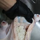 조양RPC 한반도 땅끝쌀 ​말복음식 찹쌀삼계탕 찹쌀요리 후기