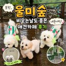 동두천포천키즈 | 포천 애견카페 l 군내면_"울미숲" l 자주가도, 매번 힐링되는 애견카페 후기