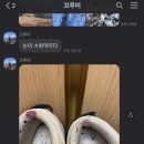 간절곶사슴농장 이미지