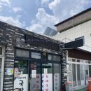 중앙로지선 이미지