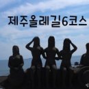 제주 올레길 6코스 Daum카페