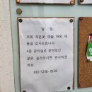 자운 | 원주 원데이클래스 자운꽃예술학원 꽃꽃이수업 후기