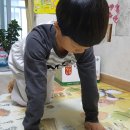 XPL태권도장 이미지