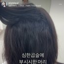 헤어비 이미지