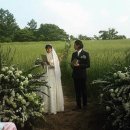 메아리 펜션 | 아기랑 가볼만한 곳｜24개월 아기랑 정선 대촌리 청보리밭 주차·동선·포토존 총정리 (이나영 원빈...