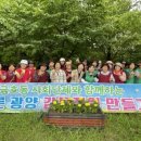 금호동 이미지