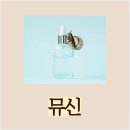달팽이a | 뮤신이 뭐길래? 효과, 달팽이 크림부터 건강까지, 궁금한 모든 것!