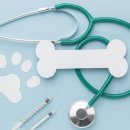 고려동물병원 이미지