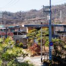 디자인위즈