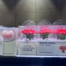 신봉초교 이미지