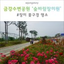 금강수변공원 숲바람장미원 이미지